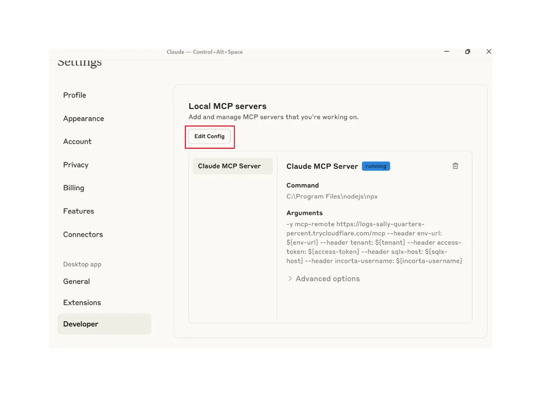 Developer settings screen